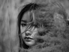 -蒲河岛湿地公园