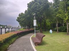 -陈家山荷花公园