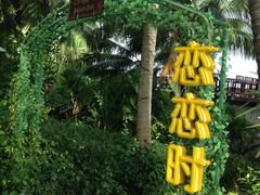 -三亚亚龙湾红树林度假酒店