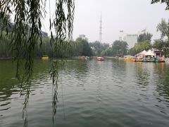 -莲湖公园