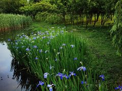 -贵阳市花溪国家城市湿地公园