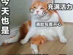 -iF摄影•全家福•证件照•形象照(南山店)