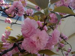 -醉得意(武大店)