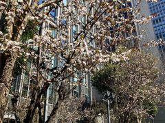 -陆家嘴世纪金融广场