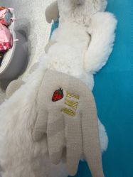 -国际蓝孩(万象城店)