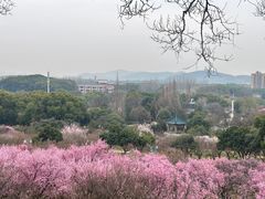 -无锡梅园公园