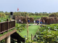 -洪湖生态旅游区