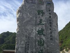 -野三坡百里峡景区