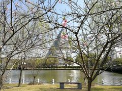 -上海市第一人民医院(松江南部)