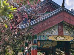 -洛龙公园