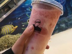 -LELECHA乐乐茶(上海五角场万达广场店)