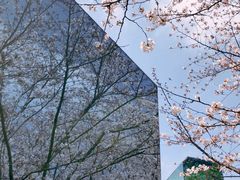 -龙美术馆(西岸馆)