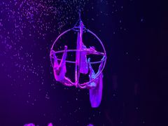 -广州长隆国际大马戏