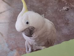 -石家庄市动物园