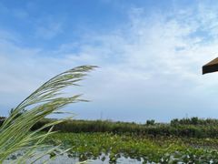 -宁波杭州湾国家湿地公园