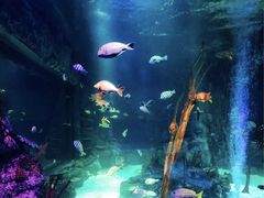 -沈阳海洋探索中心