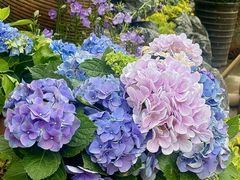 -田园印象·成都土菜院子(华阳店)