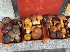 -草墩罗非鱼庄•野生菌•腊排骨(七星街上段店)