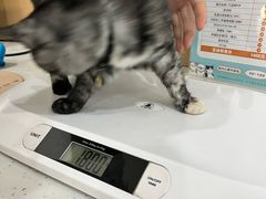 -贝利宠物医院·骨科·眼科·肿瘤转诊中心(南坪诊疗中心)
