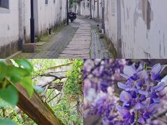 -东山风景区(洞庭东山)