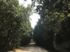 -白草畔自然风景区