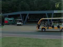-野狸岛