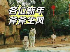 -广州长隆野生动物世界