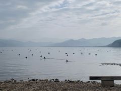 -丽江泸沽湖景区