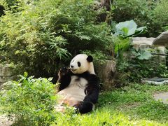 -广州动物园