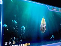 -白鹤梁水下博物馆