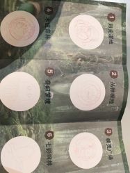 -未来动物城动物主题公园(大悦城店)