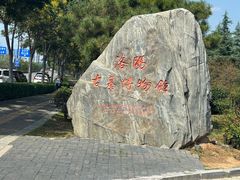 -洛阳古墓博物馆