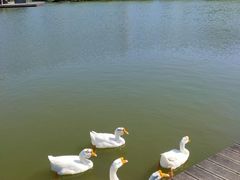 -杭州师范大学(下沙校区)