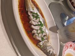 -金美华轩(东方路齐鲁店)
