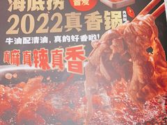 -海底捞大排档火锅(悦荟广场店)