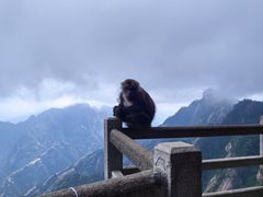-黄山风景区