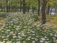 -上海山野camping·户外天幕烧烤·团建拓展营地