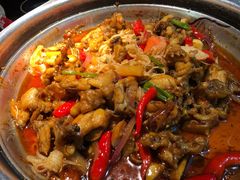 麻辣味牛蛙锅-蛙小侠(卓悦里店)