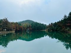 -四明山国家森林公园