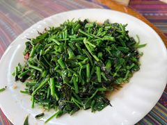 -绿草墩