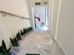 -海涛医疗美容·面部抗衰·注射美鼻