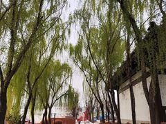 -西安汉城湖景区