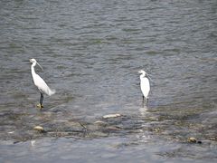 -成都南湖公园