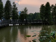 -海珠湖公园
