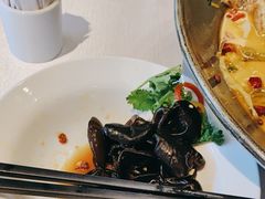 -汇华阁中餐厅·粤菜早茶(汇华希尔顿逸林酒店)