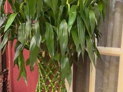 -红色盛宴酒楼(科丰桥店)