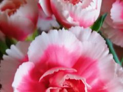 -AEON永旺(东方宝泰店)