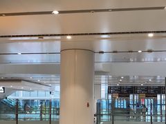 -麦当劳(北京大兴机场二层国内到达(安检外)店)