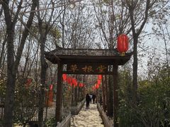 -草根堂农场