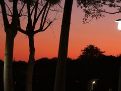 -时光花园(白鹭洲店)